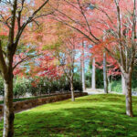 櫟野寺のセミナー時の墓苑の紅葉