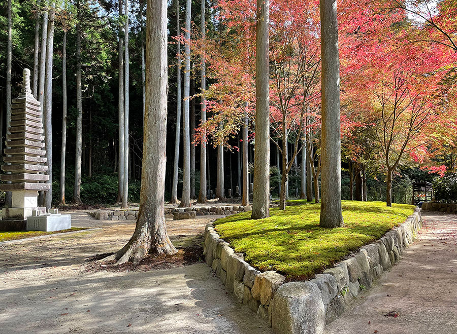 櫟野寺のセミナー時の墓苑の風景